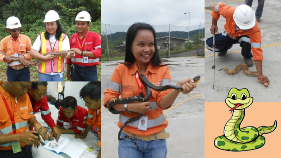 Gladiwana Sukses Gelar Snake Management Training untuk Martabe Gold Mine di Tapanuli Selatan