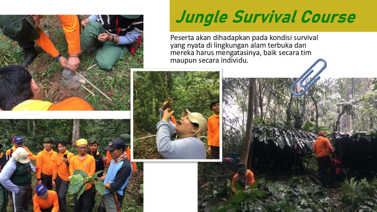 Jungle Survival Course