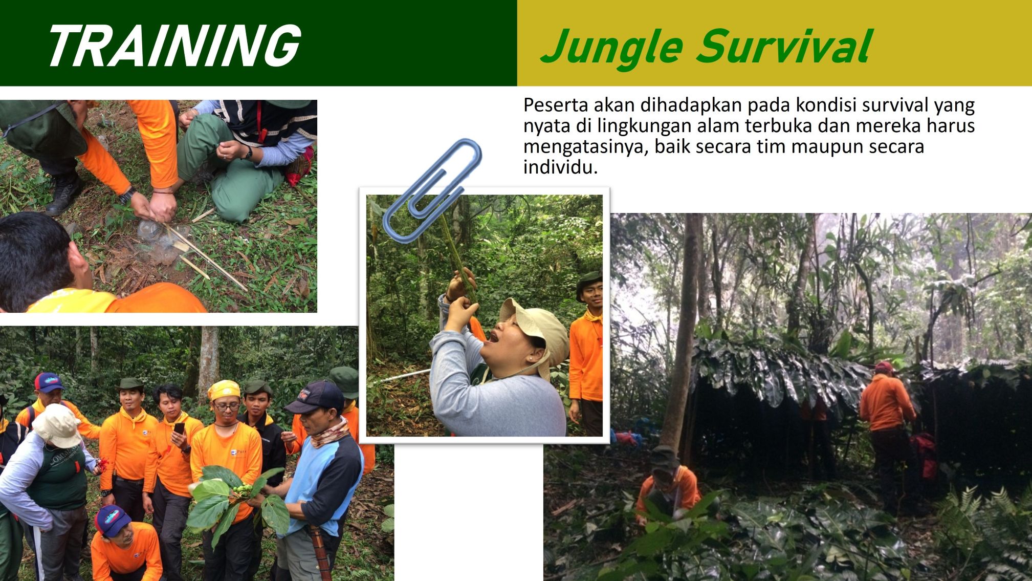 Jungle Survival
