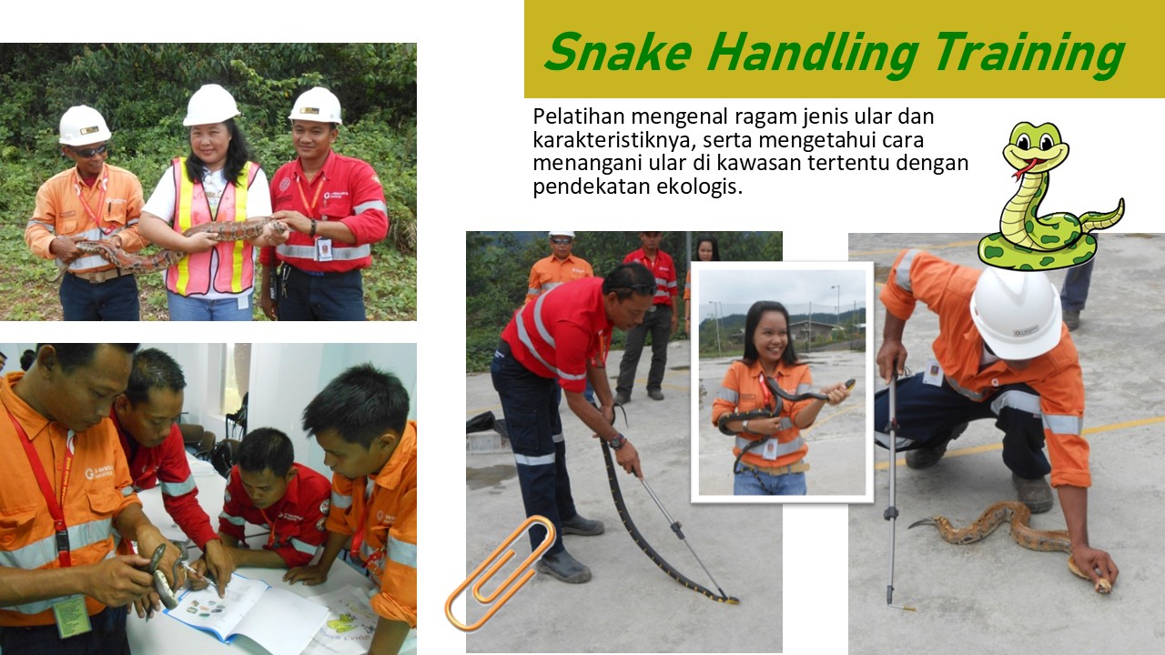 Snake Handling Training