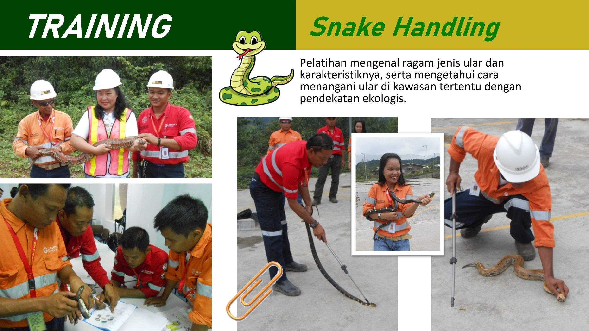 Snake Handling